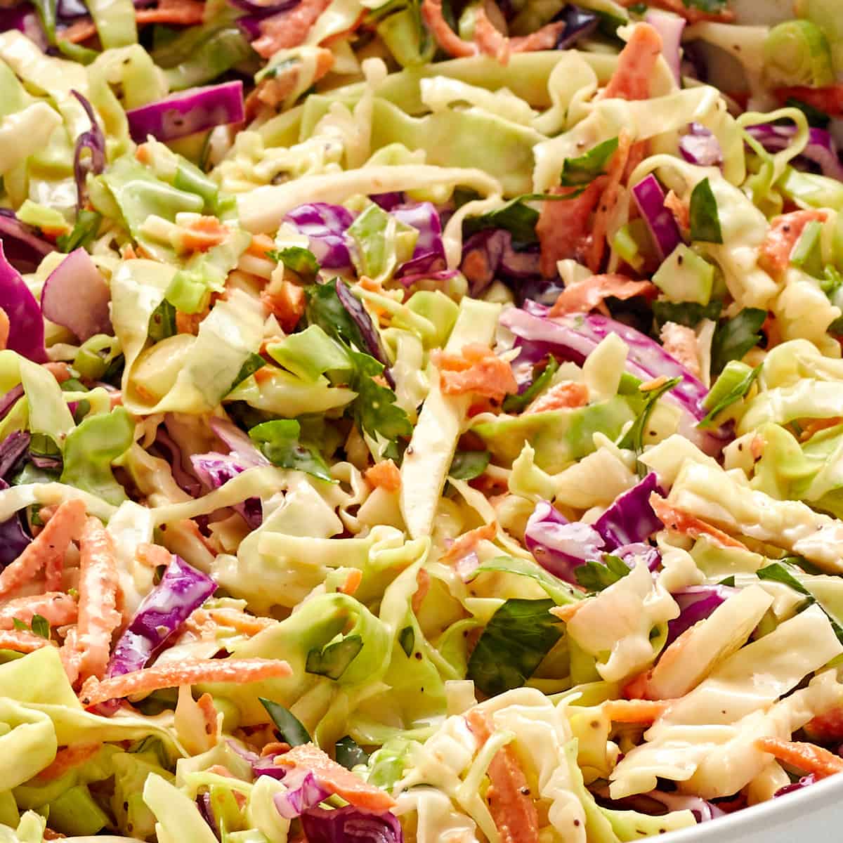 close up of coleslaw chopped and dressed