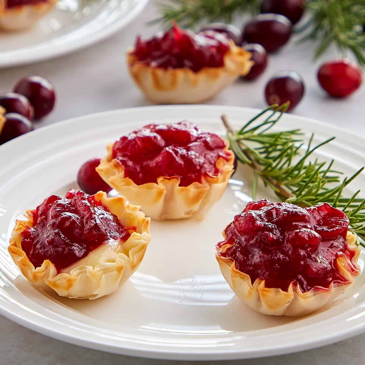 cranberry brie bites on a white plate with a rosemary garnish