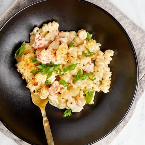 Lobster Truffle Mac and Cheese | Casual Epicure