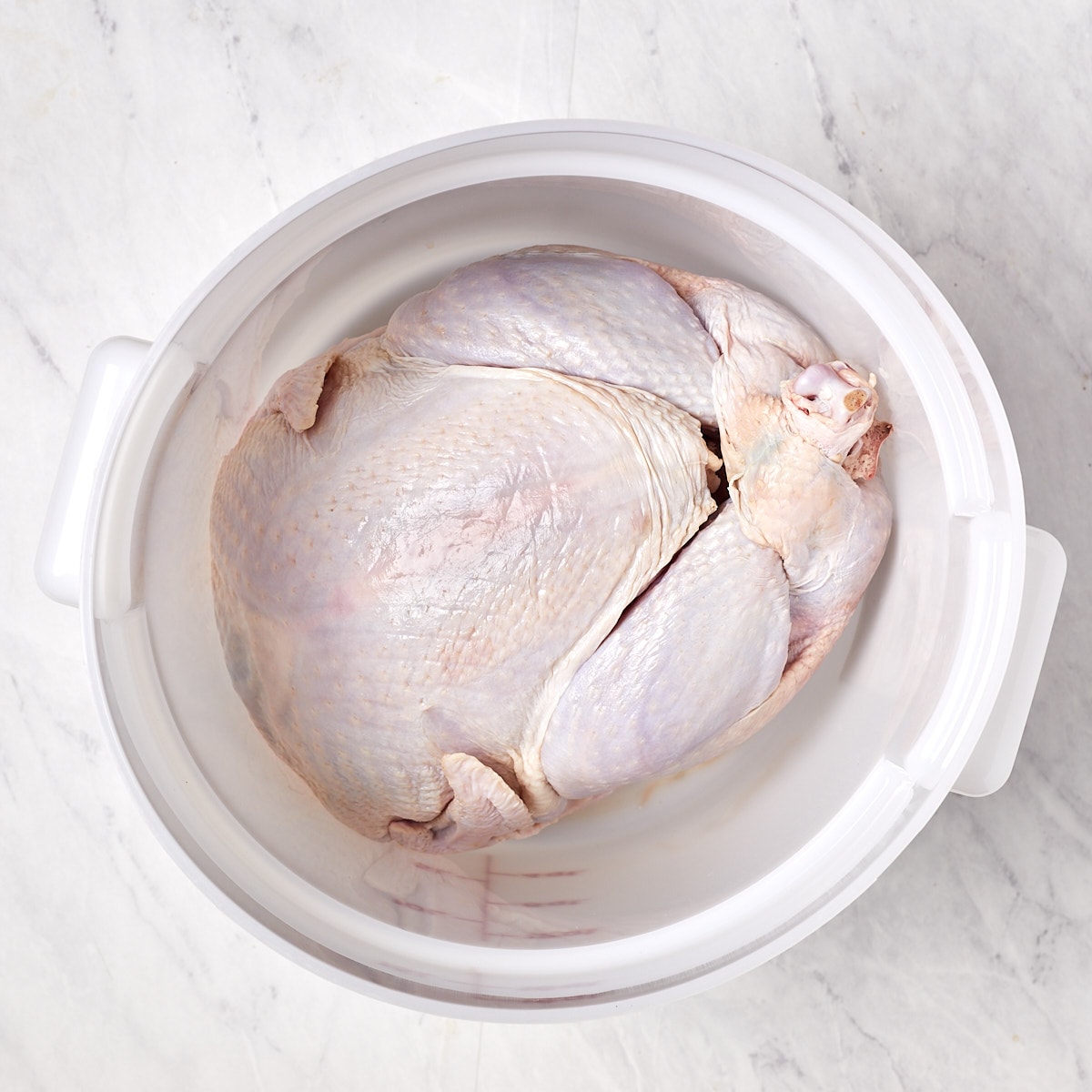 raw turkey in a food grade bucket before brine is added.
