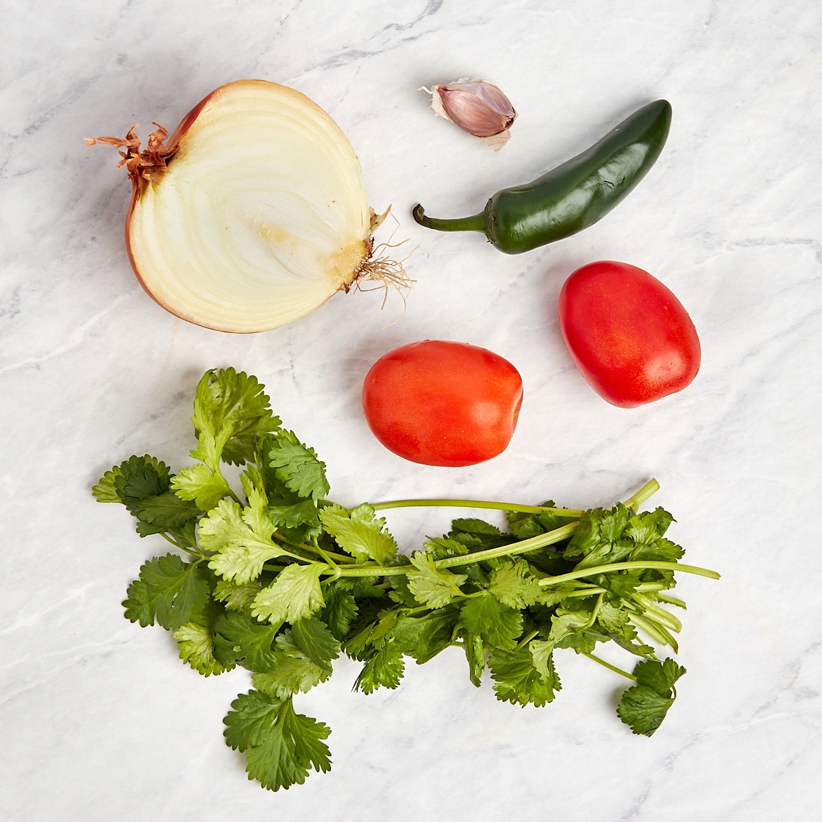 ingredients for salsa roja.